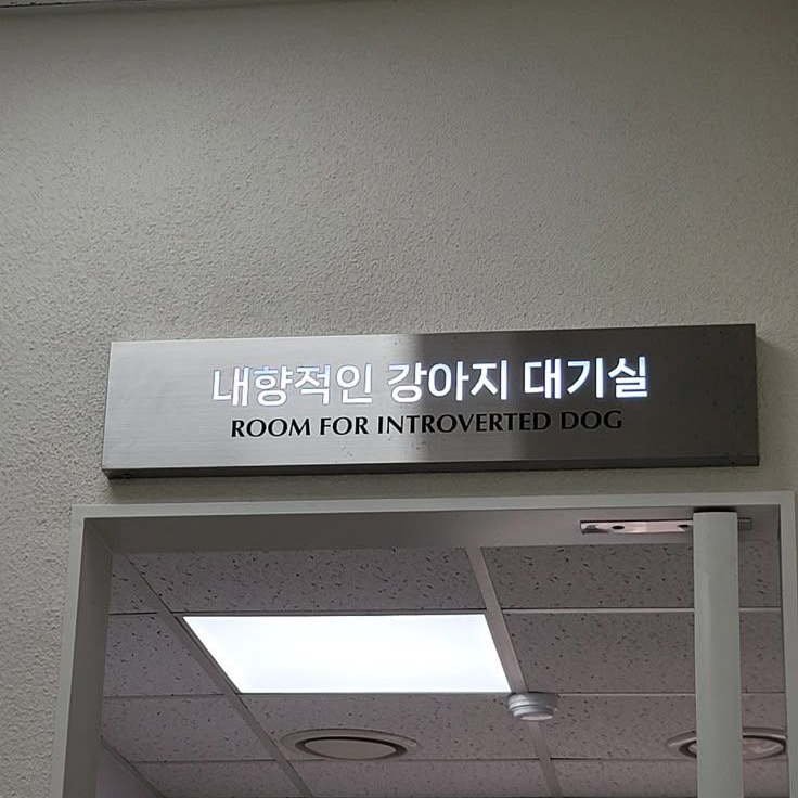내가 진짜 미워하는 거 알지 대표 이미지