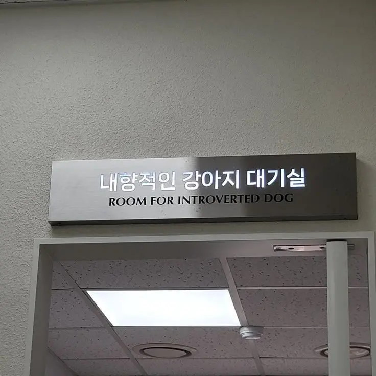 iiino의 내가 진짜 미워하는 거 알지