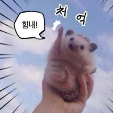 Profile image of 따봉도치