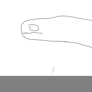Profile image of 아르겐티노사우루스