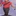 Scout