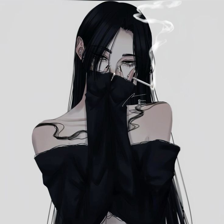 최시화 대표 이미지