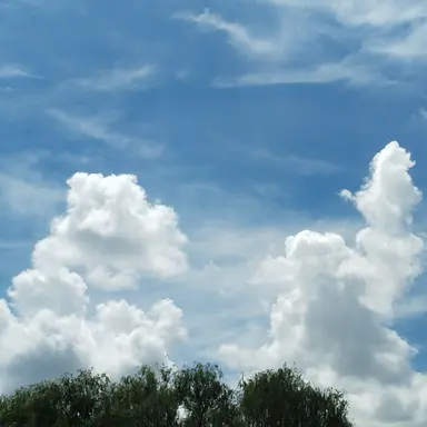 Profile image of 서유