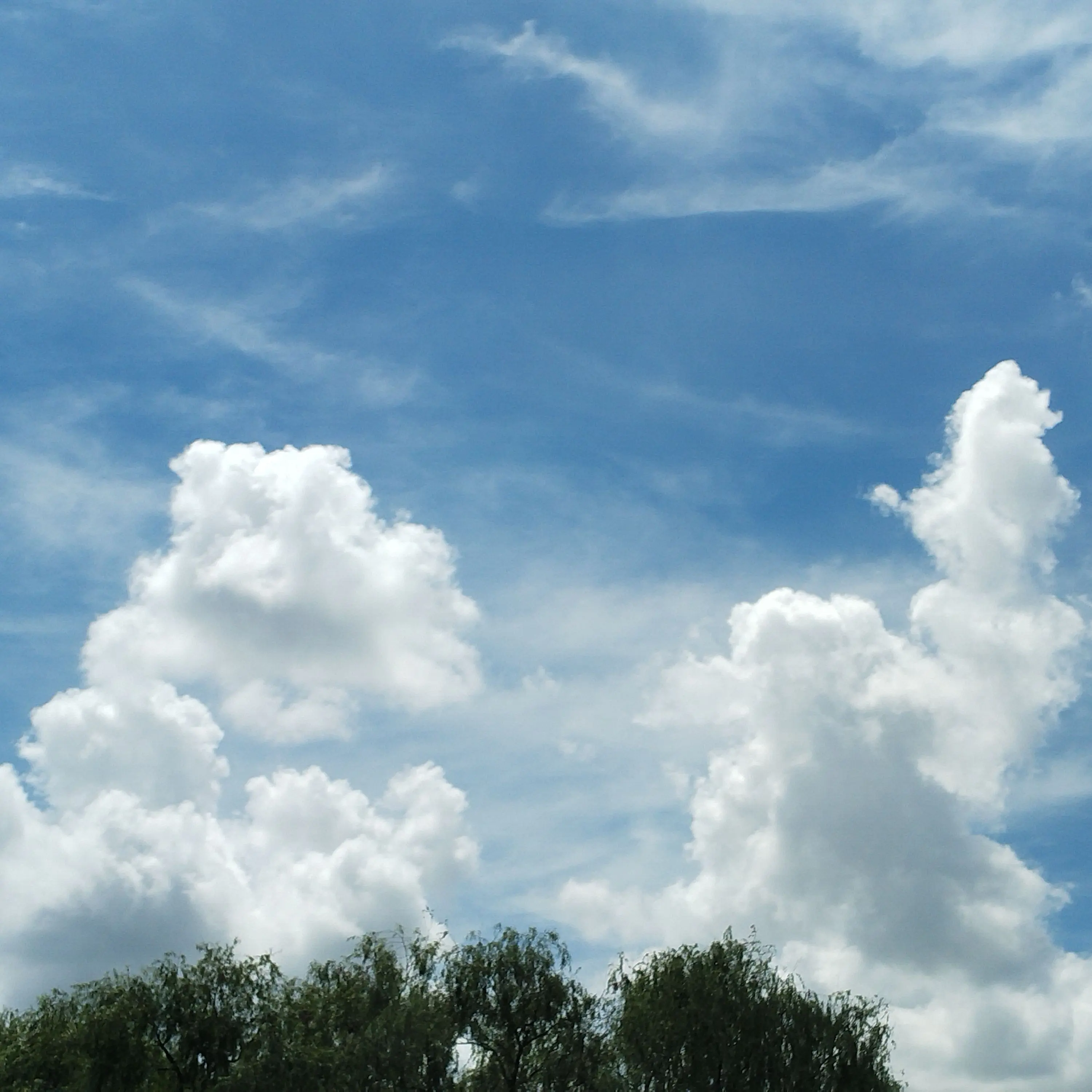 FinalKishu1642의 왕놀이하는친구인대당신을사칭하지까지