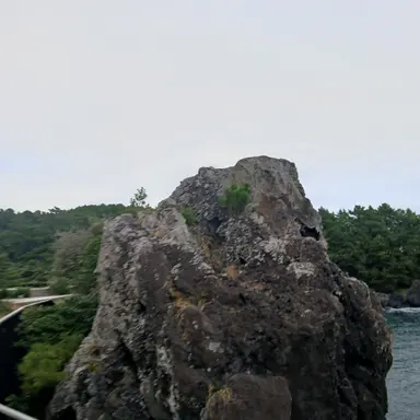 Profile image of user