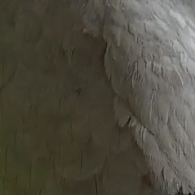 Profile image of 오세훈