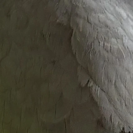 오세훈