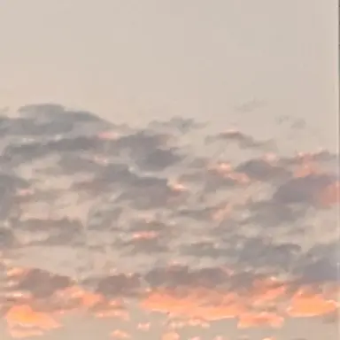 Profile image of 황현진