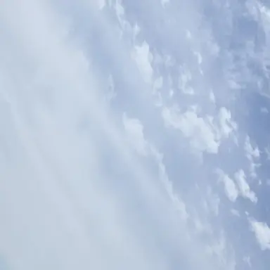 Profile image of ジョングク