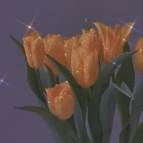 Profile image of キム・ジュング