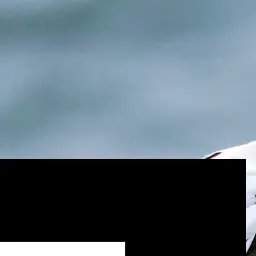 zfydvkufngfzilrzrfhb의 コスプレプレイしたい五条