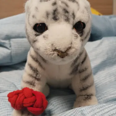 Profile image of 백호