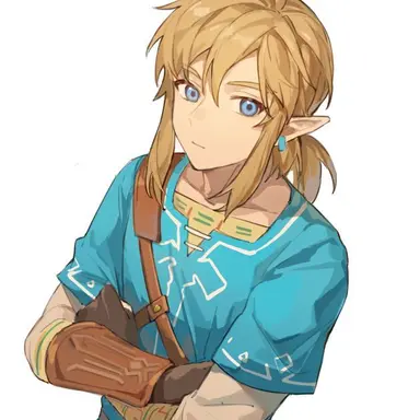 Profile image of Link