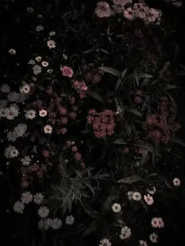 ABC109879의 나로는 안 되는 거야...?