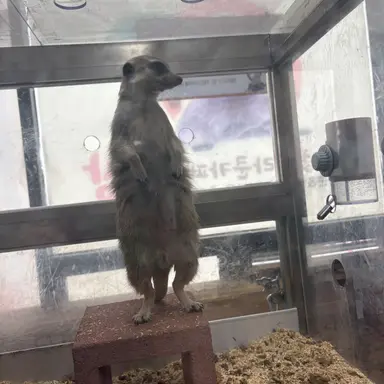 Profile image of 유연조