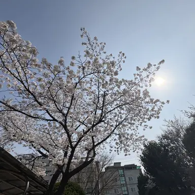 Profile image of 나현영