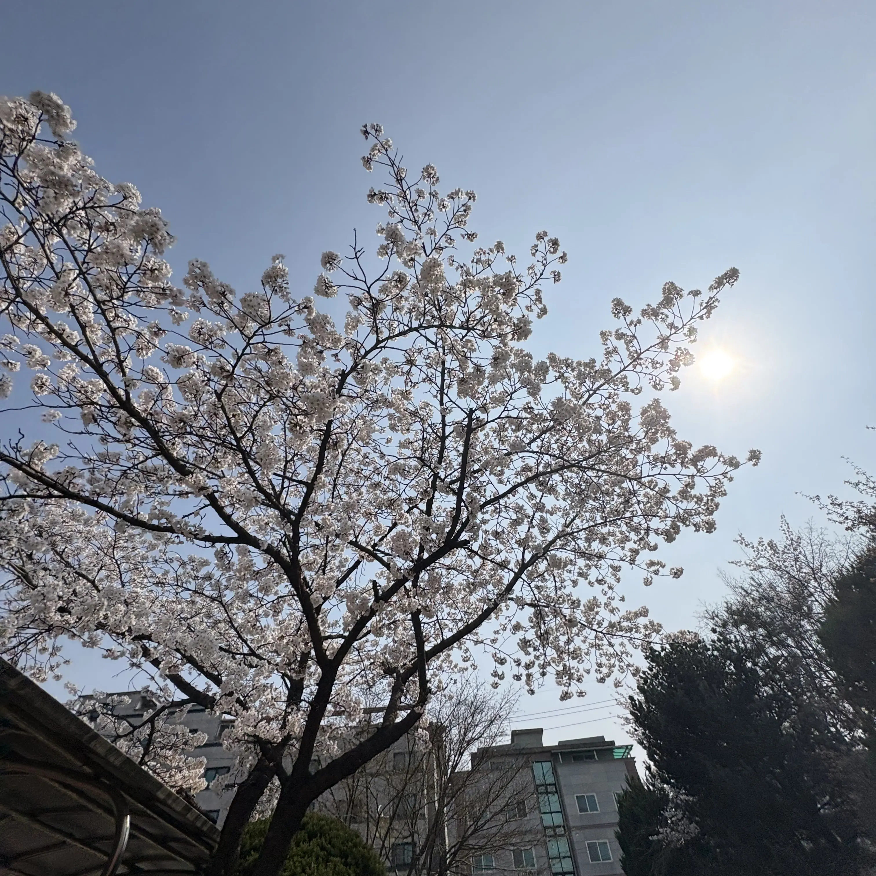 SoftRisk8398의 나현영의딸