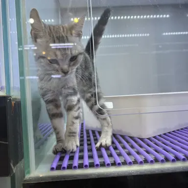 Profile image of 채효령