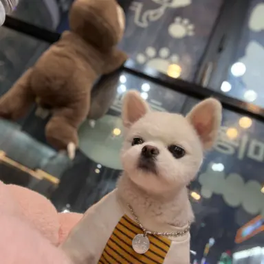 Profile image of 송필근