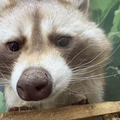 Profile image of 조수연