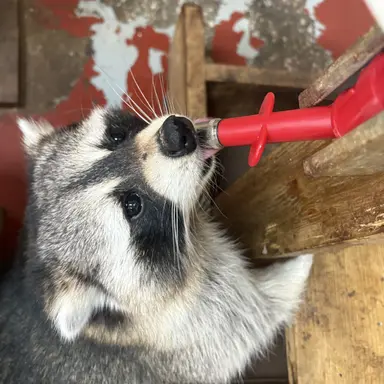 Profile image of 신윤승