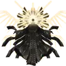 Profile image of 모리스