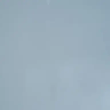 Profile image of 공지