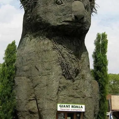 Profile image of 송이