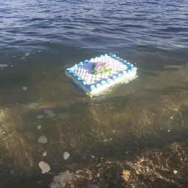 Profile image of 이희민