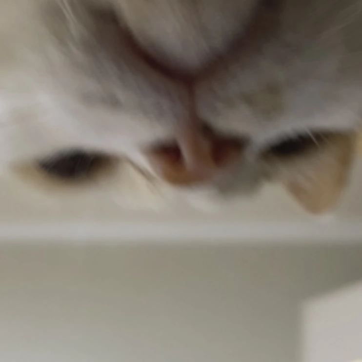 킴누리쓰