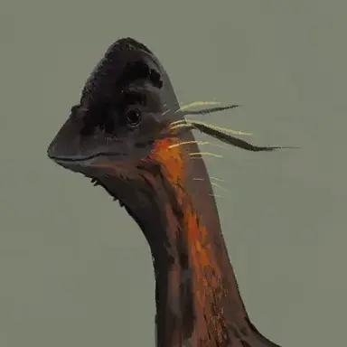 Profile image of 안주