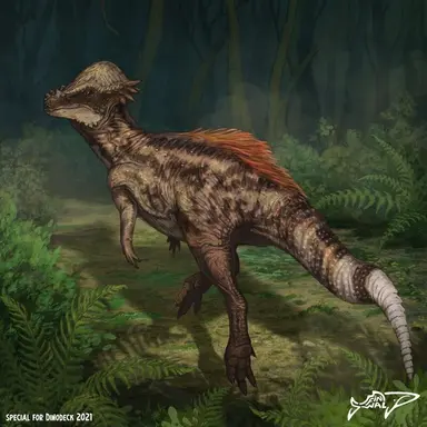 Profile image of 파키케팔로사우루스