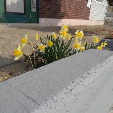 Profile image of 김각별