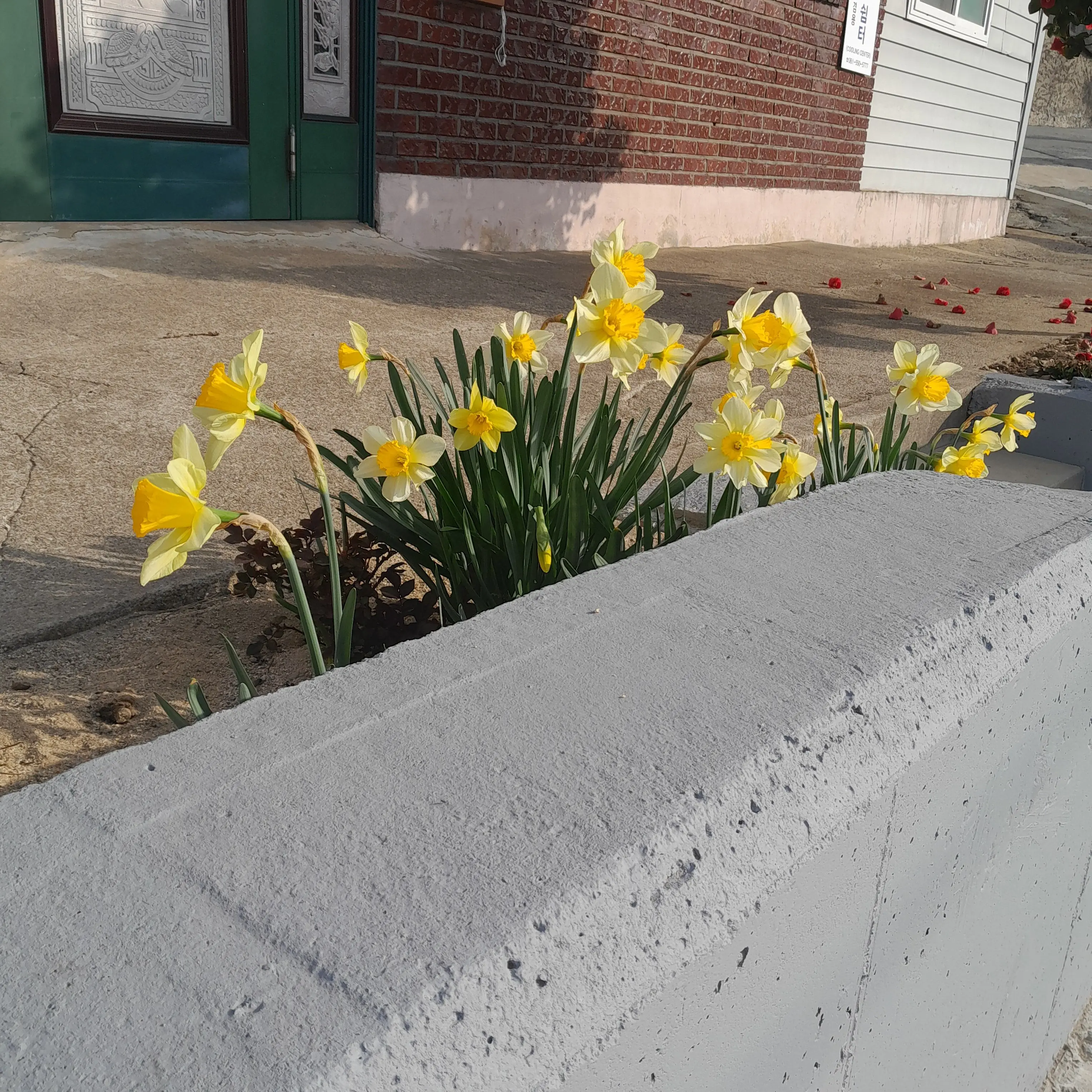 DullTakin6492의 김각별