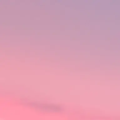 Profile image of 쇼타