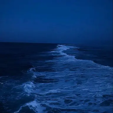 Profile image of 메모장