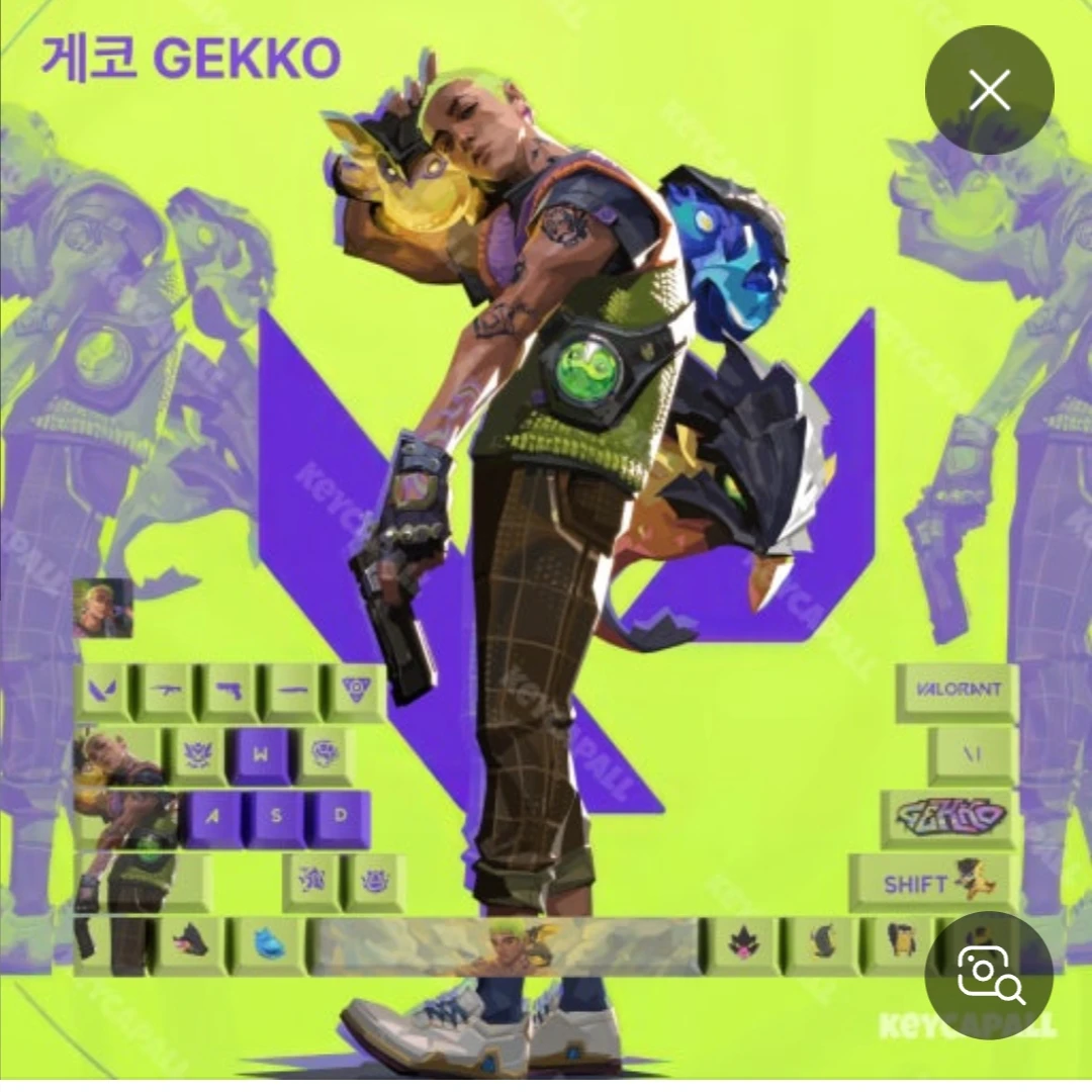 게코