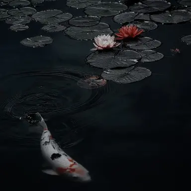 Profile image of 연후
