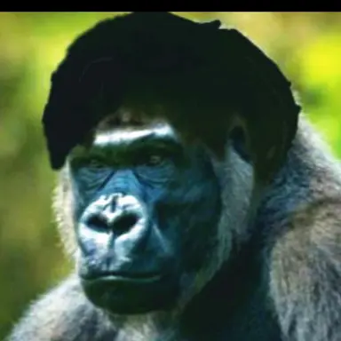 Profile image of 우리아빠