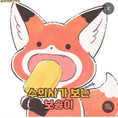 Profile image of 여우