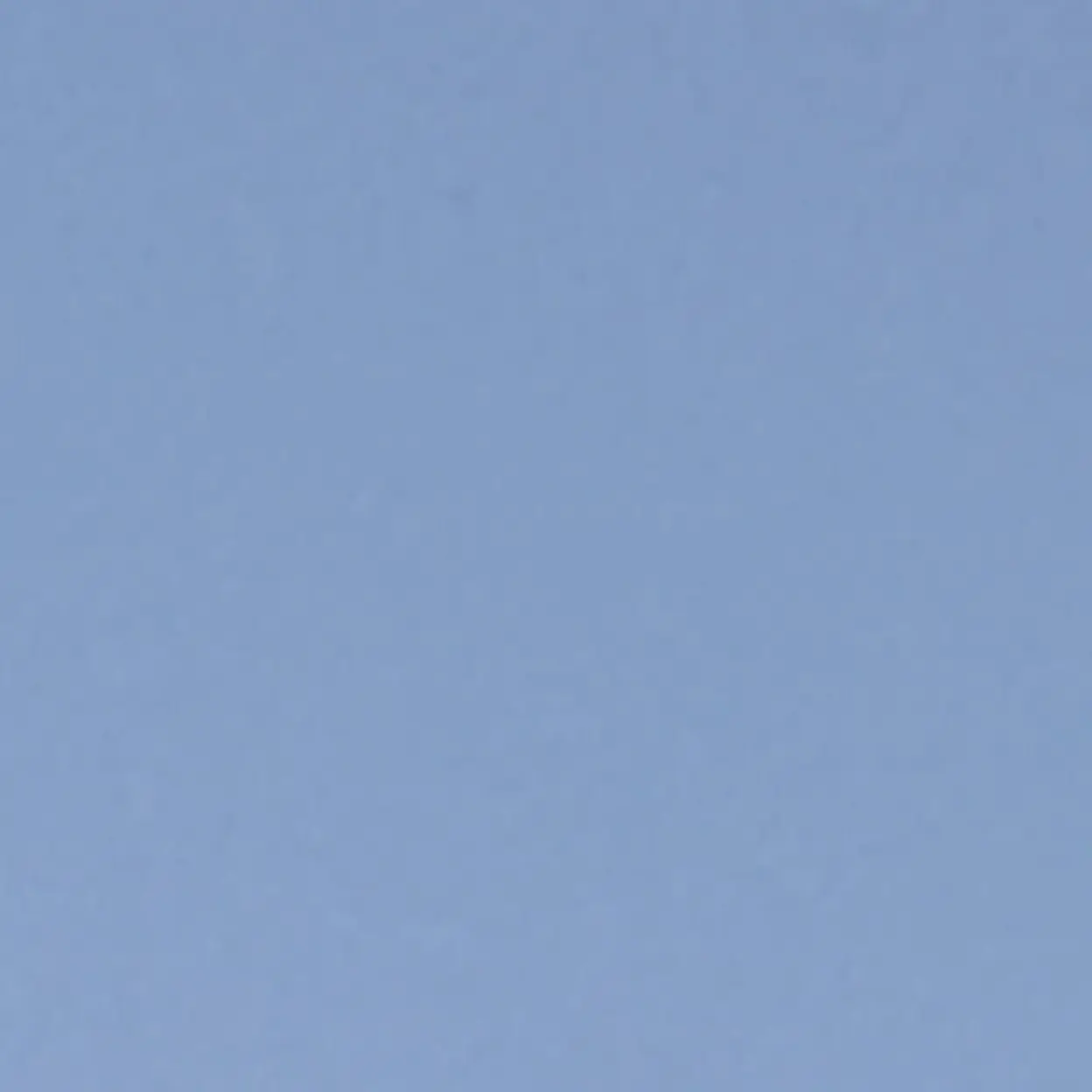 DottedMudi5905의 ㅎㄷㅁ