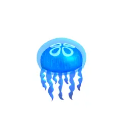 Profile image of jh