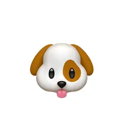 Profile image of yj