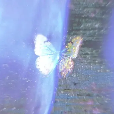 Profile image of 兵助