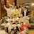 세븐틴 (하숙집)