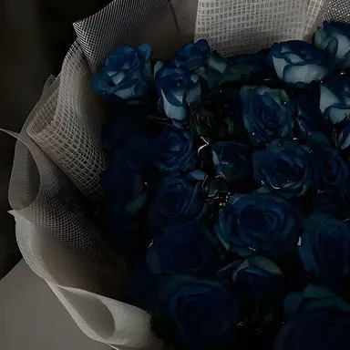 Profile image of 행크