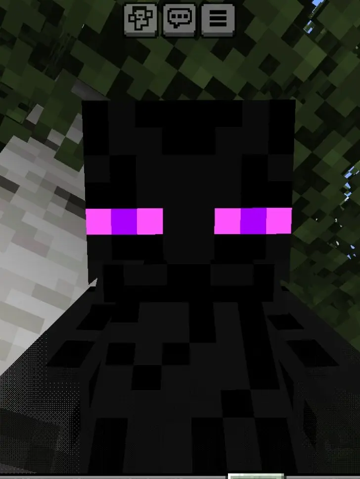 KiIl의 ENDERMAN
