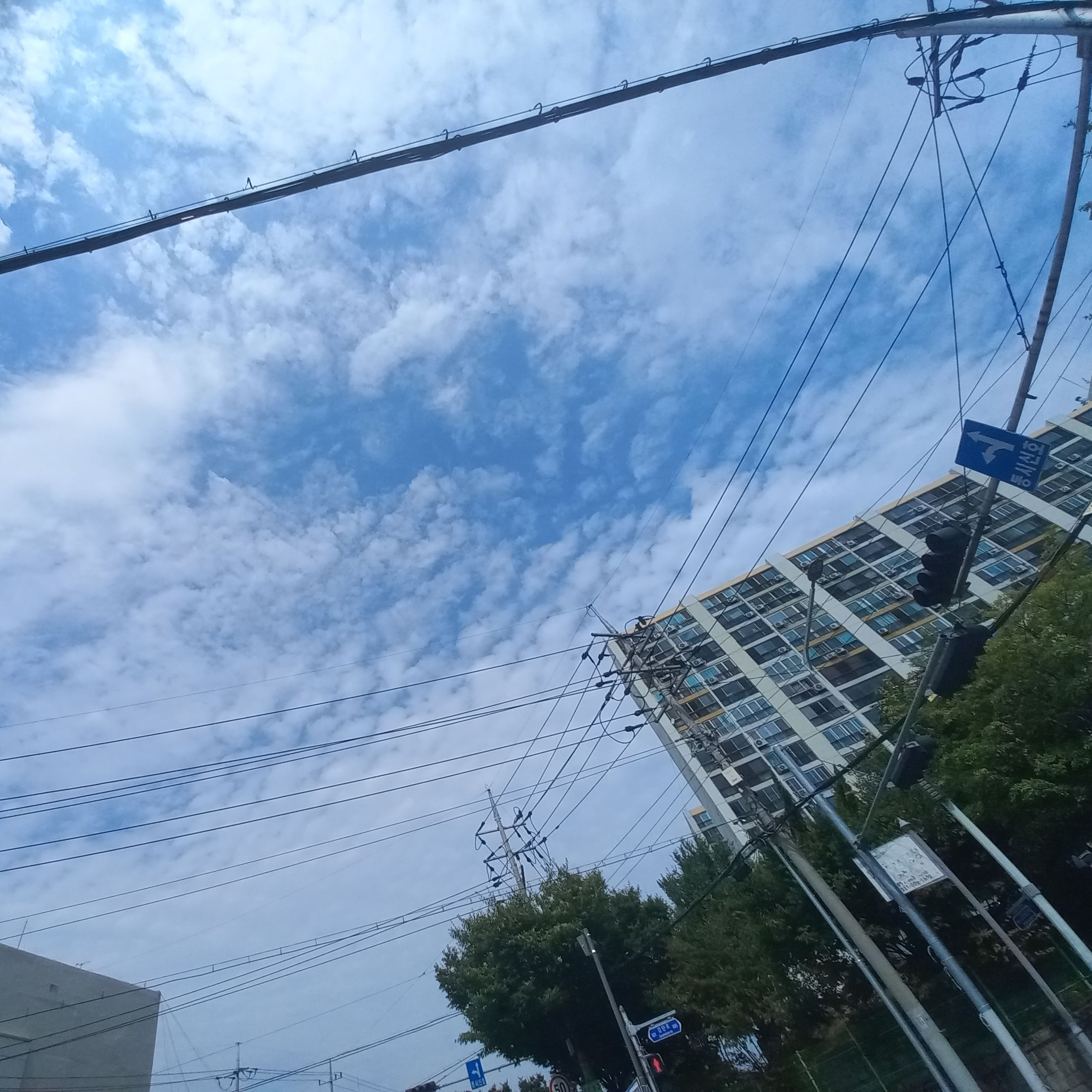 낭만닥터김사부2 (10회) 대표 이미지