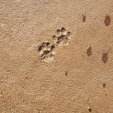 Profile image of 한동민