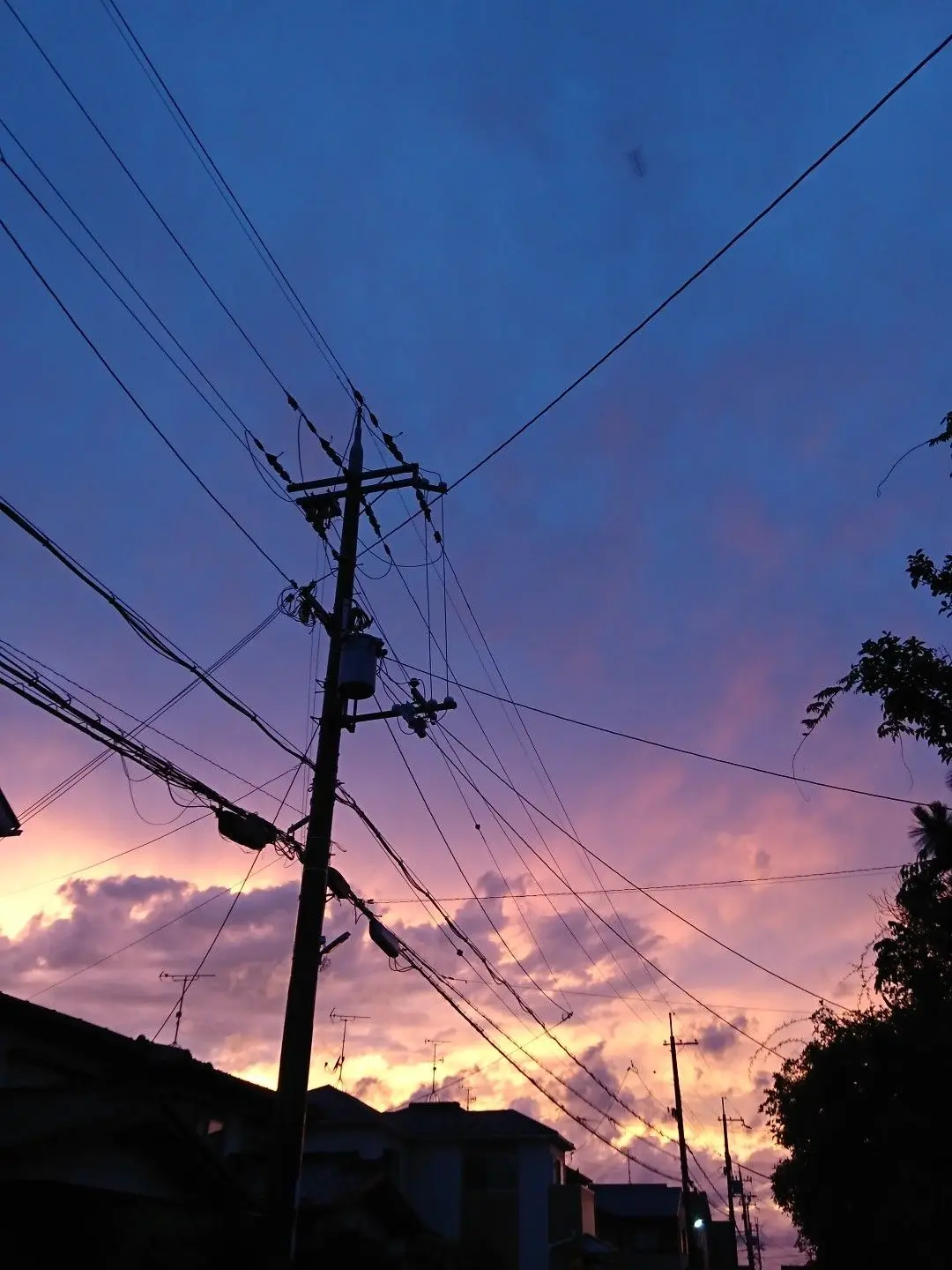 MIGIOTA의 せめよん逆トリップ